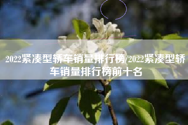 2022紧凑型轿车销量排行榜/2022紧凑型轿车销量排行榜前十名