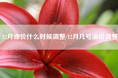 12月油价什么时候调整/12月几号油价调整