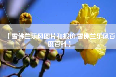 【雪佛兰乐风图片和报价,雪佛兰乐风百度百科】