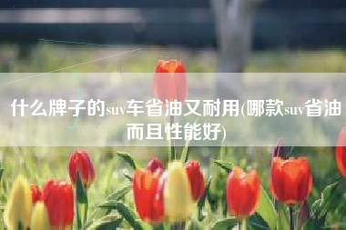 什么牌子的suv车省油又耐用(哪款suv省油而且性能好)