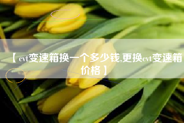 【cvt变速箱换一个多少钱,更换cvt变速箱价格】