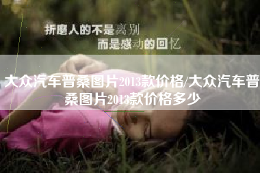 大众汽车普桑图片2013款价格/大众汽车普桑图片2013款价格多少