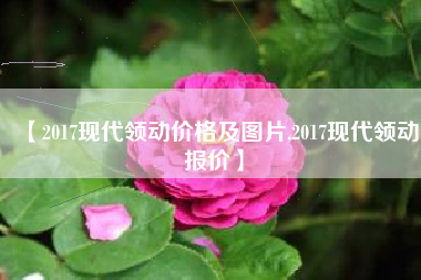 【2017现代领动价格及图片,2017现代领动报价】