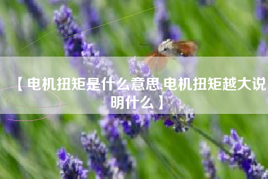 【电机扭矩是什么意思,电机扭矩越大说明什么】 【电机扭矩是什么意思,电机扭矩越大说明什么】