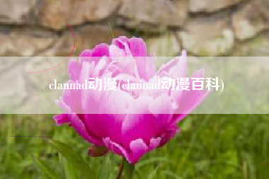 clannad动漫(clannad动漫百科)