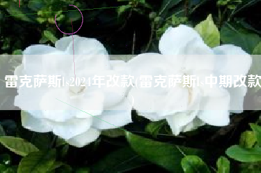 雷克萨斯ls2024年改款(雷克萨斯ls中期改款)